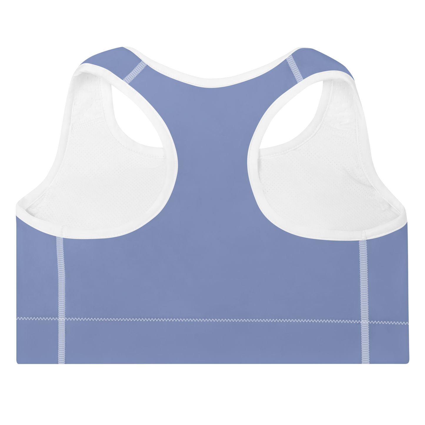 Padded Sports Bra (Lilac Blue)